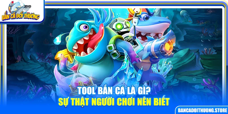 Tool Bắn Cá Là Gì? Sự Thật Người Chơi Nên Biết