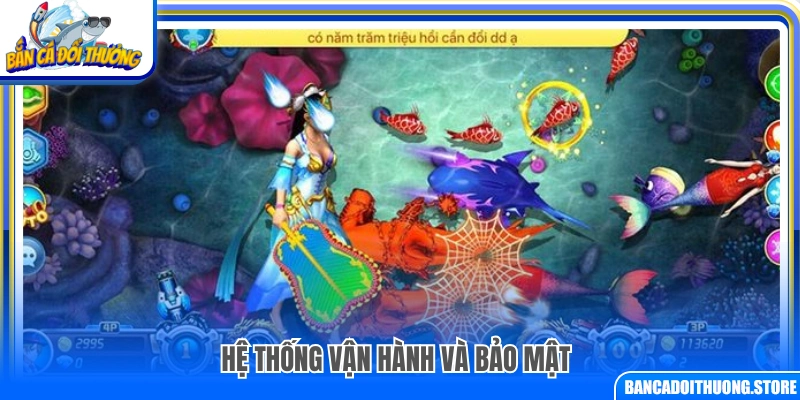 Cơ chế vận hành và bảo đảm an toàn