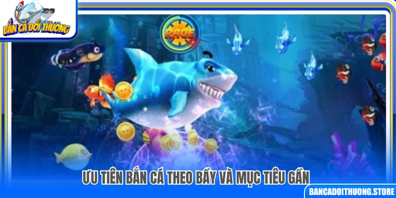  Chiến thuật bắn cá theo nhóm và mục tiêu gần