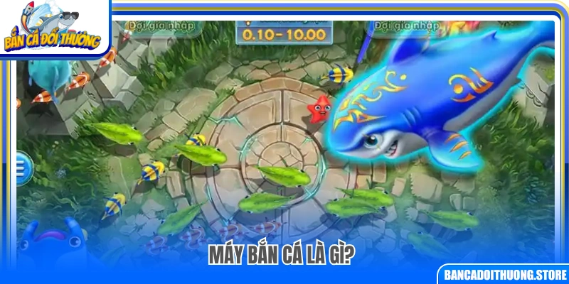 Máy bắn cá là hình thức trò chơi như thế nào?