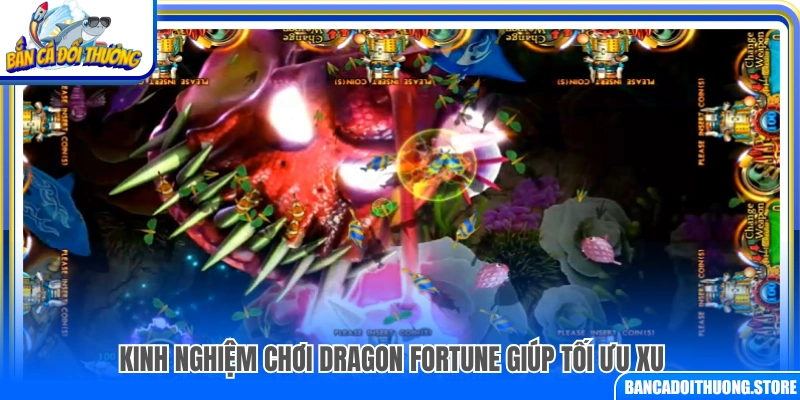 Kinh nghiệm săn cá giúp tăng lợi nhuận