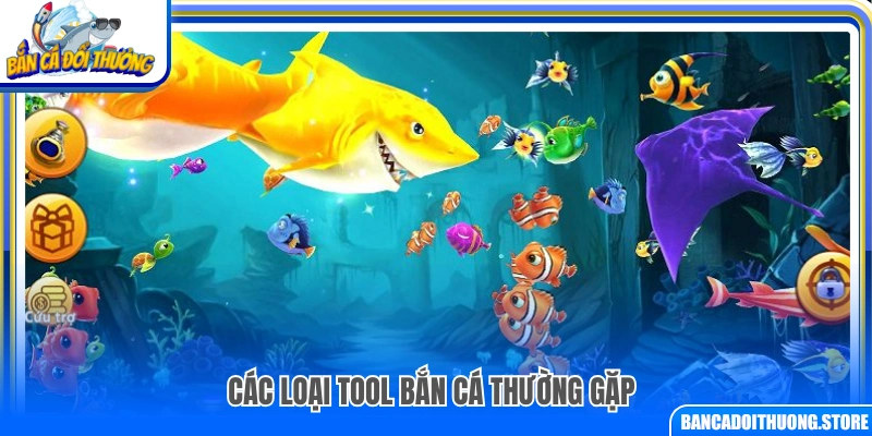 Những loại tool bắn cá phổ biến